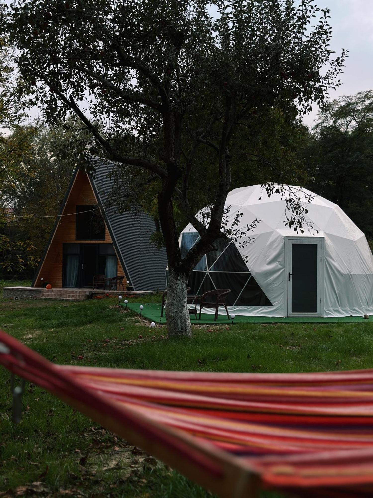 Hotel The Frog Glamping à Horezu Extérieur photo