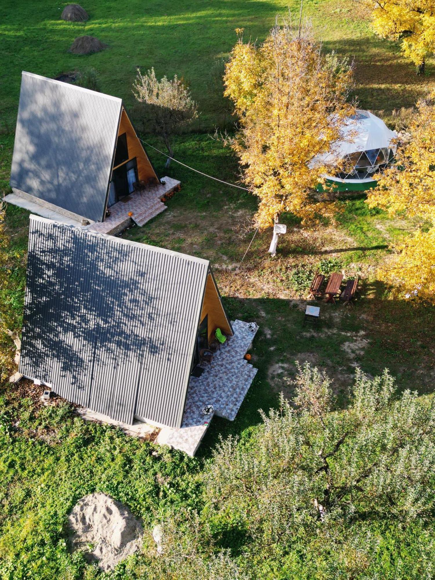 Hotel The Frog Glamping à Horezu Extérieur photo