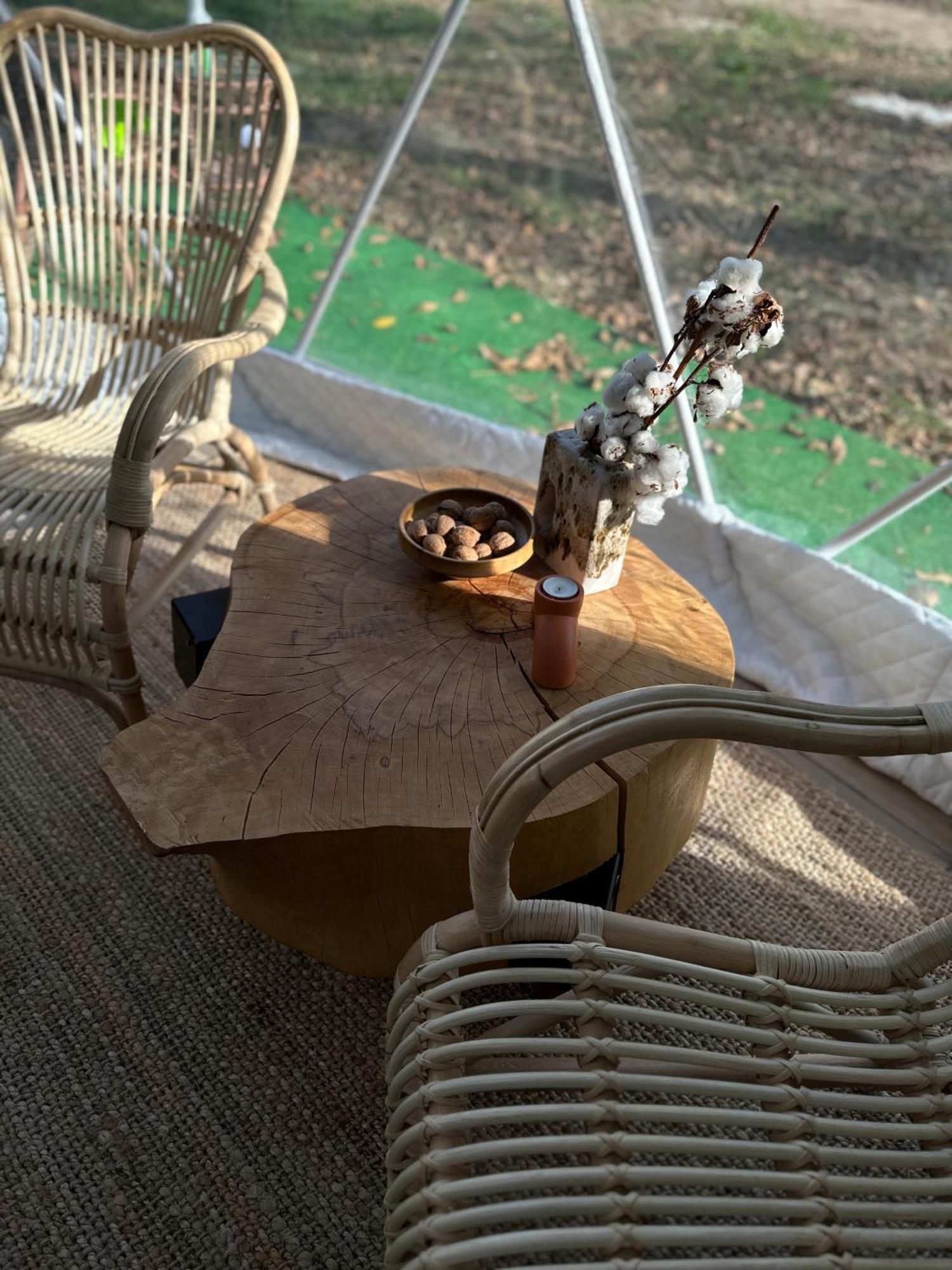 Hotel The Frog Glamping à Horezu Extérieur photo