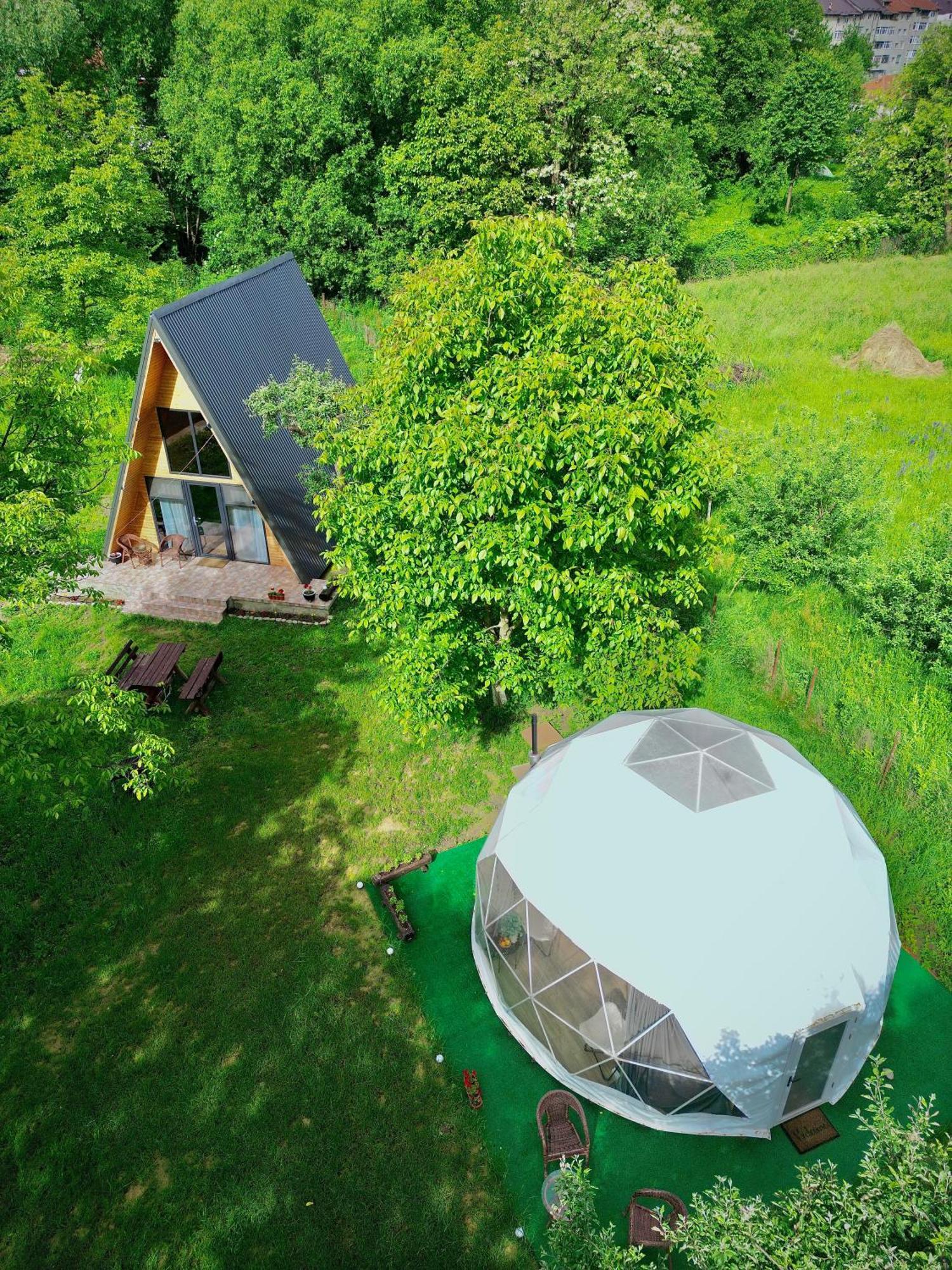 Hotel The Frog Glamping à Horezu Extérieur photo