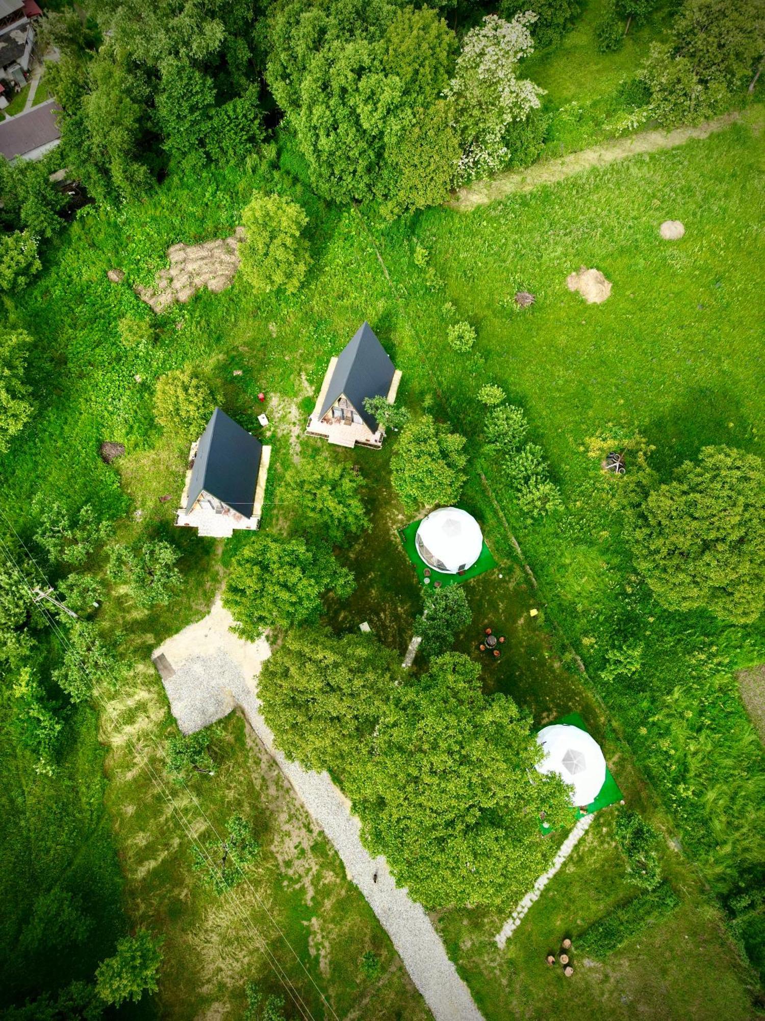 Hotel The Frog Glamping à Horezu Extérieur photo