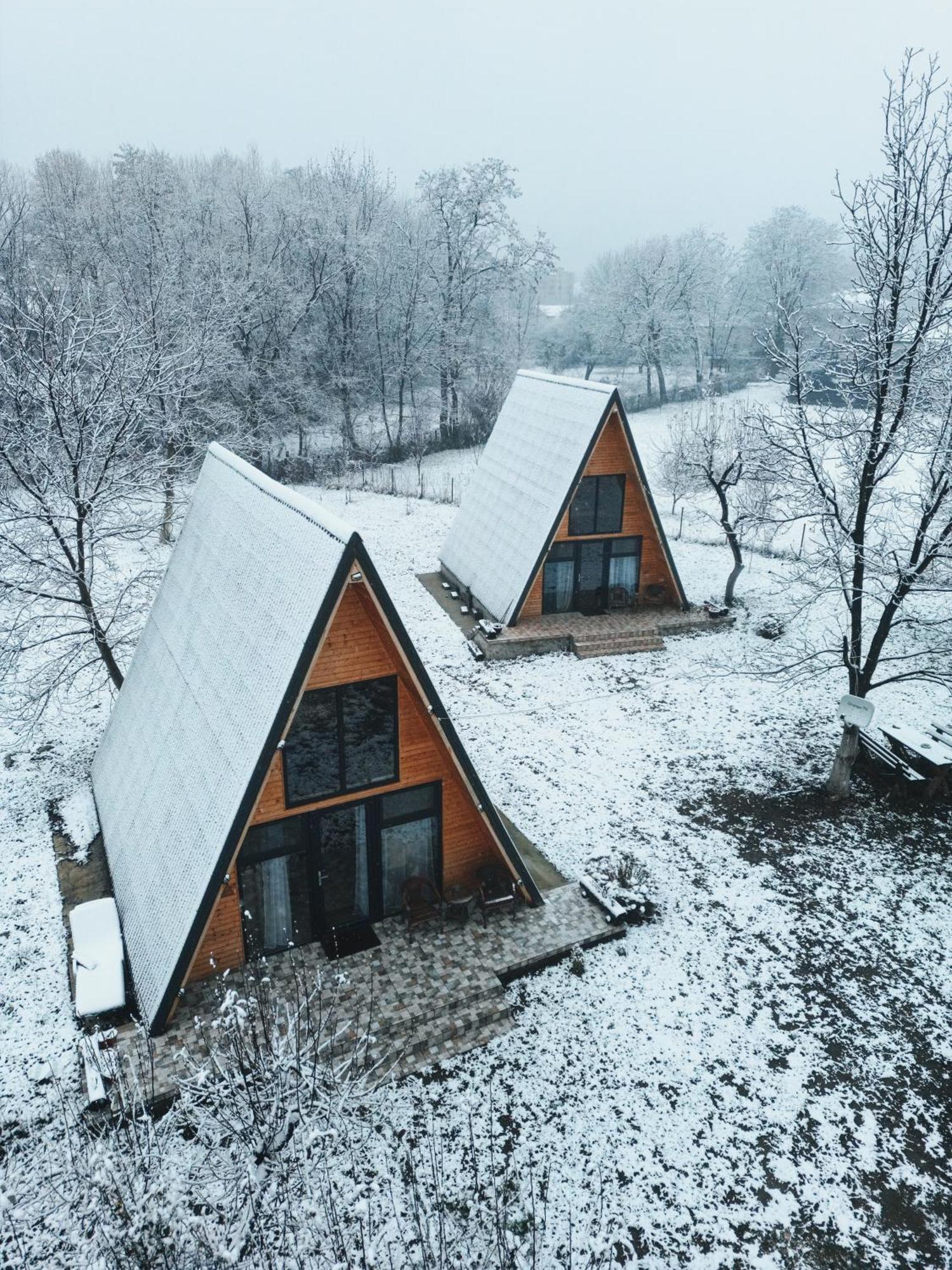 Hotel The Frog Glamping à Horezu Extérieur photo