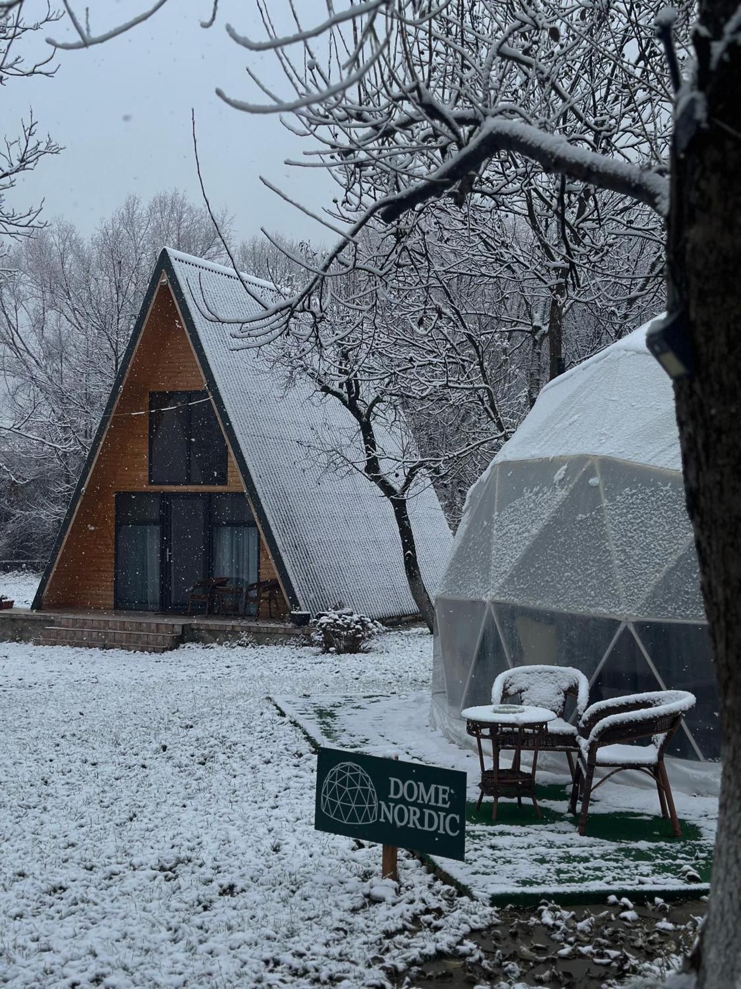 Hotel The Frog Glamping à Horezu Extérieur photo
