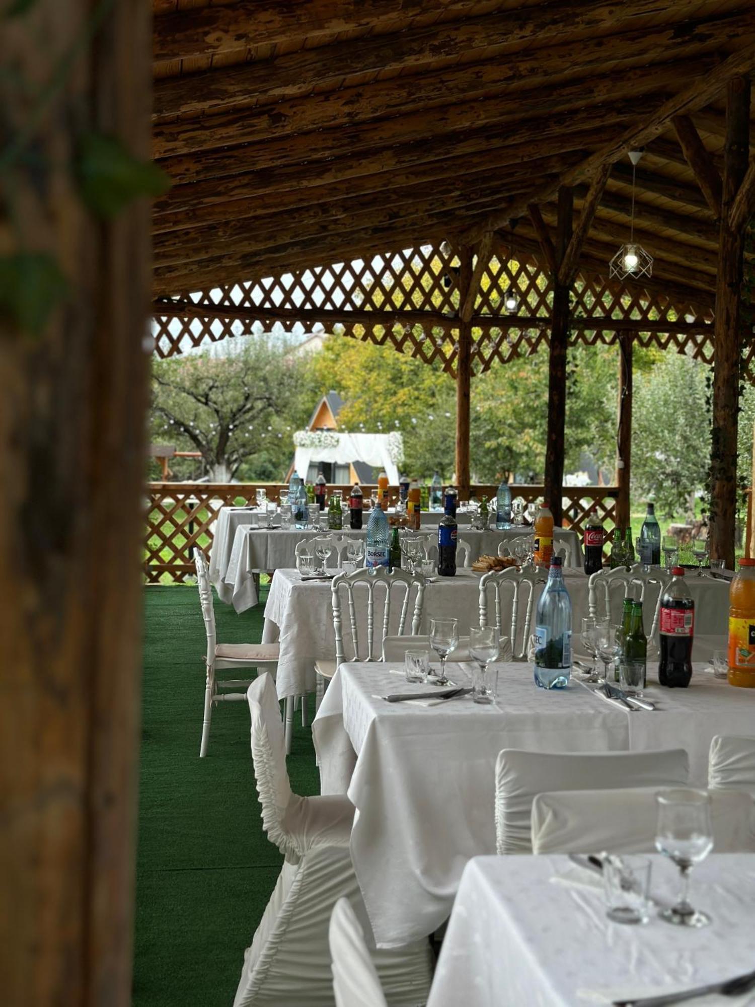 Hotel The Frog Glamping à Horezu Extérieur photo