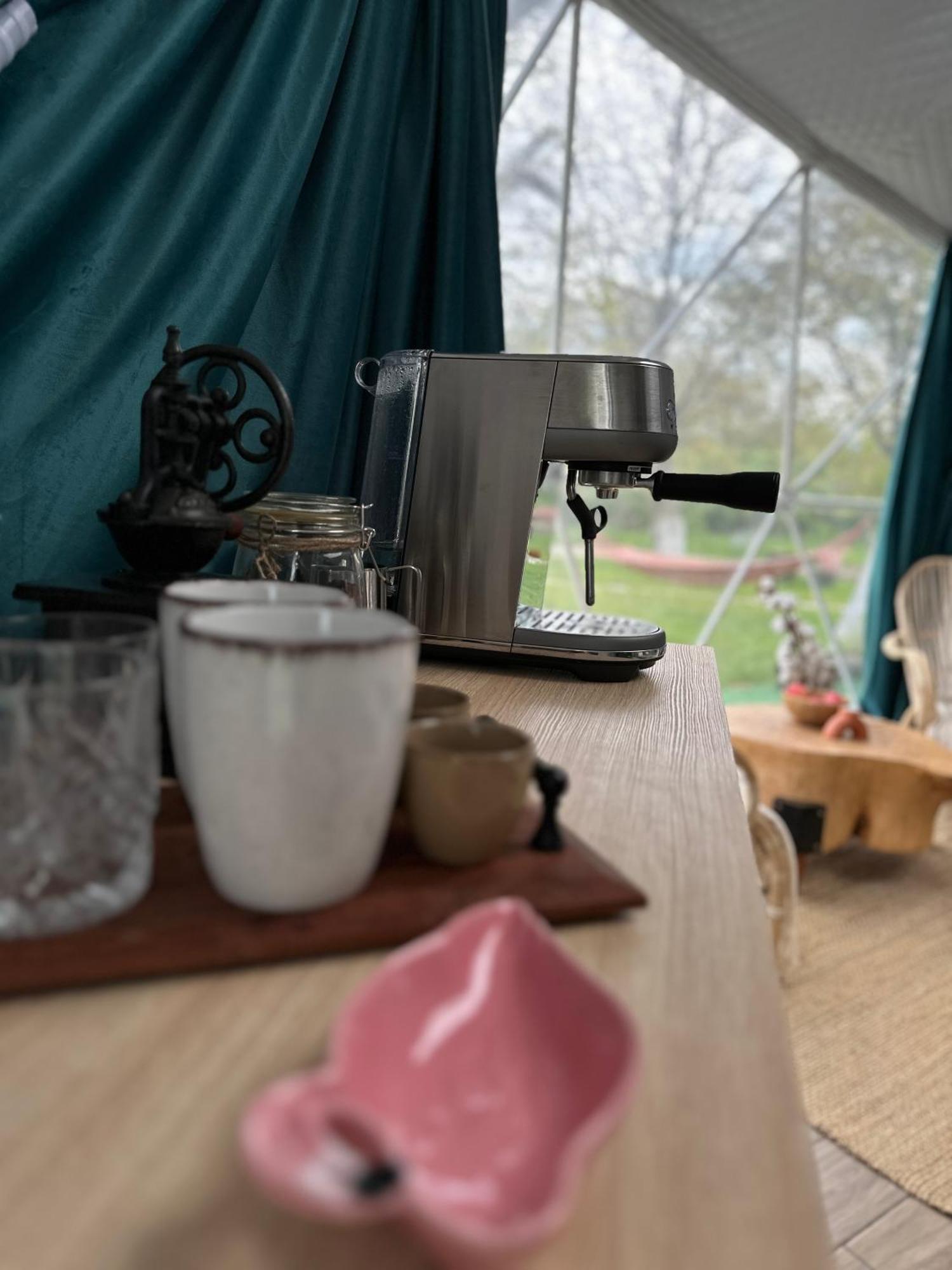Hotel The Frog Glamping à Horezu Extérieur photo